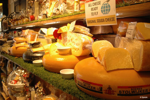 Gouda